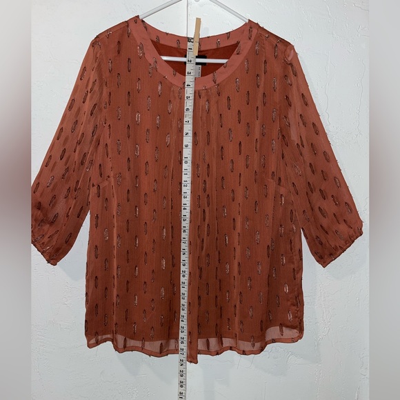 Ambria Shimmery Rust Blouse - Picture 9 of 14